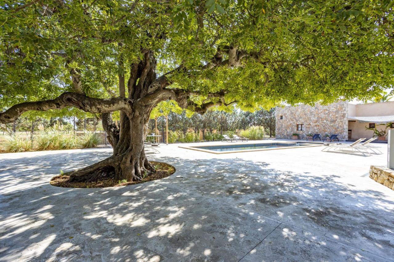 Villa Es Triquet Family Binissalem Dış mekan fotoğraf