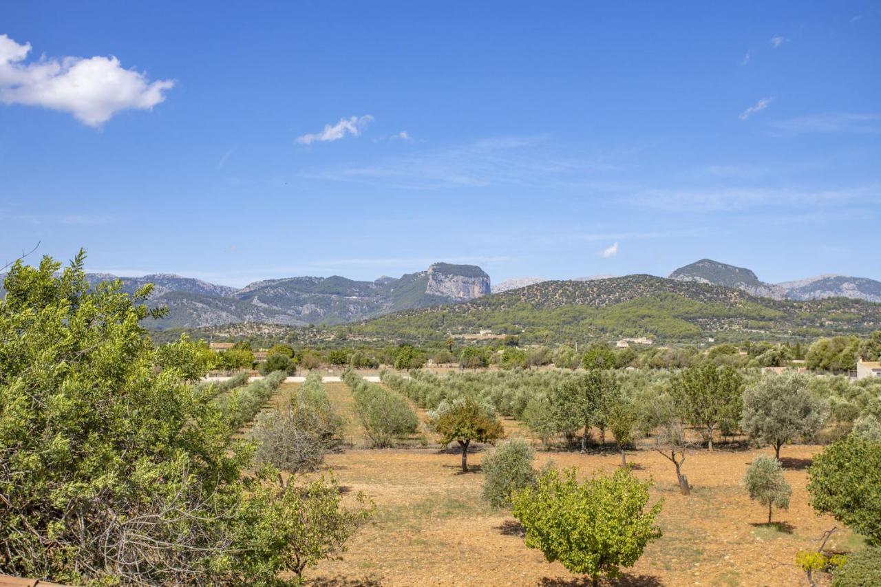 Villa Es Triquet Family Binissalem Dış mekan fotoğraf