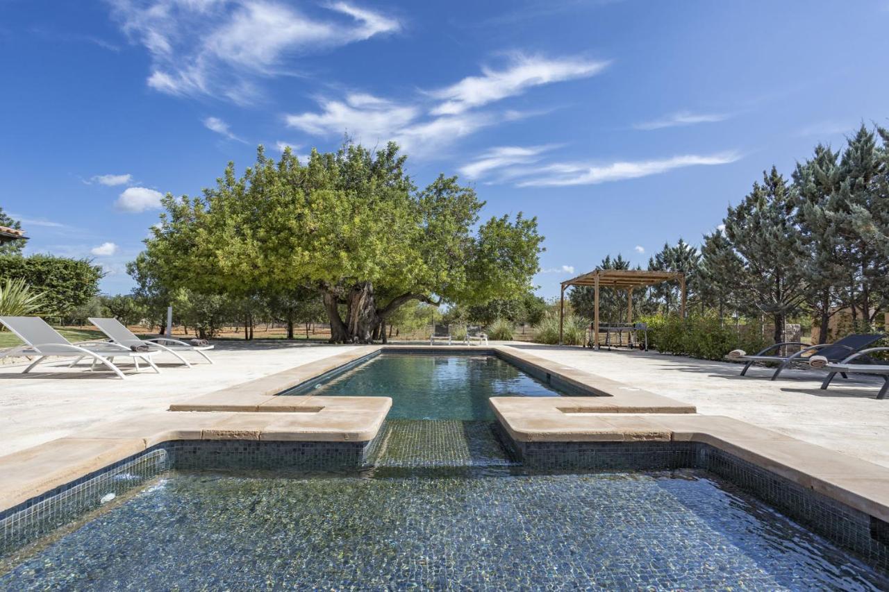 Villa Es Triquet Family Binissalem Dış mekan fotoğraf
